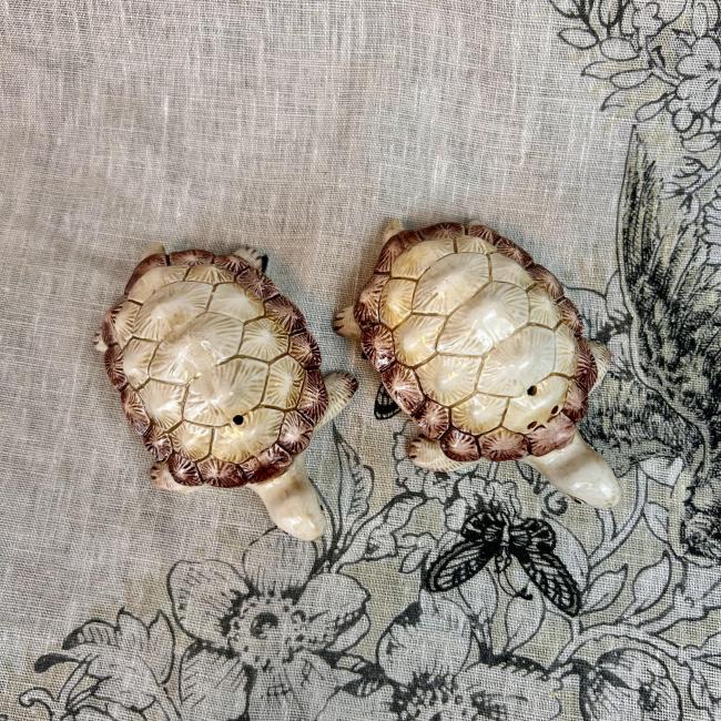 Peper en zout Schildpad