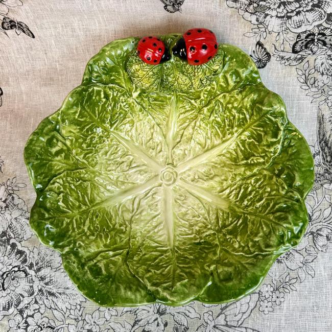 Grote diepe koolschaal met Lieveheersbeestjes