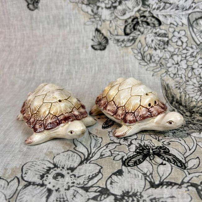 Peper en zout Schildpad