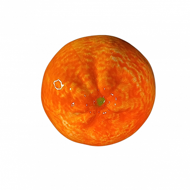 Sierfruit Sinaasappel
