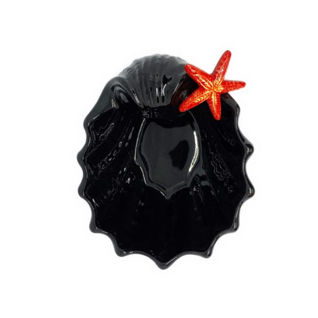 Schelp Zeester zwart