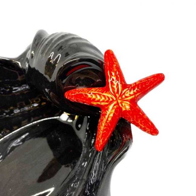 Schelp Zeester zwart